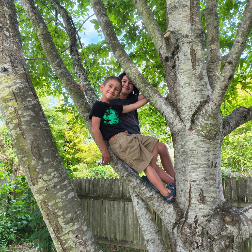 Killian Gonzales, a 6-year-old boy, sitting in a tree with another child.